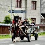 Photo taken by Donna F