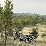 Photo taken by rhonda c