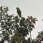 Photo taken by Steven C