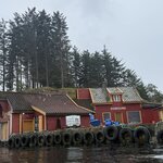 Photo taken by Lara N