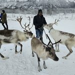 Photo taken by Gerrald S