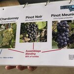 Photo taken by Melody B