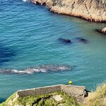 Photo taken by John O