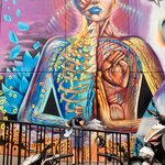 Photo taken by Erin K