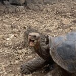 Photo taken by Stephanie A