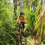 Photo taken by Matteo R