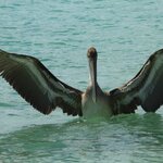 Photo taken by Patricia D