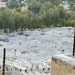 Photo taken by N.J. P