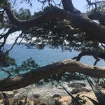 Photo taken by Juliet E