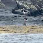 Photo taken by Lara N