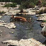 Photo taken by Allyson A