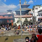 Photo taken by Pania S