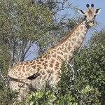 Photo taken by Kaye D