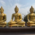 Photo taken by Pam B