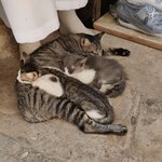 Photo taken by Thomas N