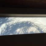 Photo taken by Victoria C