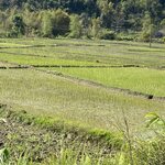 Photo taken by Wendy P