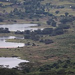 Spot the flamingos | Photo taken by Jonathan G