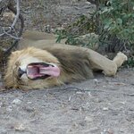 Photo taken by Sandro P