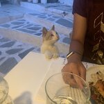 Photo taken by steve s