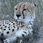 Photo taken by Martin D