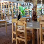 Photo taken by Juliette S