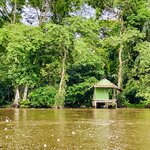 Photo taken by Mathew S