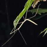 Photo taken by Peter F