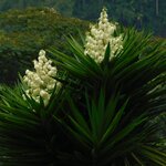 Photo taken by Brett F