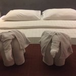 Our first elephant sighting | Photo taken by Brook D