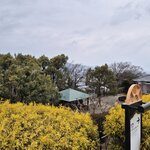 Photo taken by Zulhelmi R