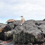 Photo taken by Natascia V