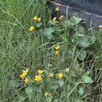 Photo taken by Dawn S