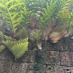 Photo taken by Fuad A