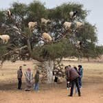 Photo taken by Eileen S