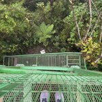 Photo taken by Aparna N