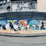 Photo taken by Erin K