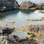 Photo taken by Pamela C