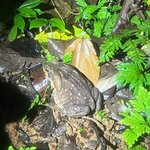 Photo taken by Alexia M