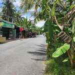 Photo taken by Sevi Y