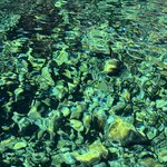 Photo taken by Amanda F