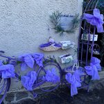 Photo taken by Aparna S