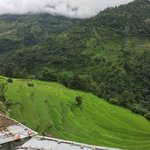 Photo taken by Joanna K