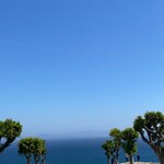 Photo taken by Jayla F