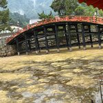 Photo taken by Bob R