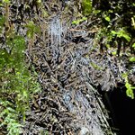 Photo taken by Sharon C