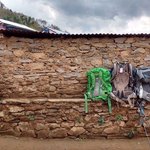 Packs | Photo taken by Dorine H