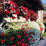 Photo taken by Dianne W