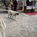 Photo taken by Lilian T