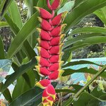 Photo taken by Myron F